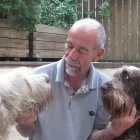 Immagine 7 azienda RAUZI LUCA - SCUOLA ADDESTRAMENTO CANI Industrie e agricoltura in Bolzano