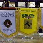 Immagine 5 azienda REGALSPORT Trofei e distintivi in Napoli