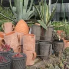 Immagine 2 azienda REIDER CENTRO PIANTE Vivaio in Bolzano