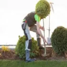 Immagine 5 azienda REIDER CENTRO PIANTE Vivaio in Bolzano