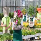 Immagine 6 azienda REIDER CENTRO PIANTE Vivaio in Bolzano