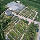 Immagine 7 azienda REIDER CENTRO PIANTE Vivaio in Bolzano