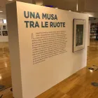 Immagine 6 azienda RESINPLEX Shopping e acquisti in Venaria Reale TO