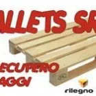 Immagine 1 azienda RIBO PALLETS Traslochi in Gorla Maggiore VA