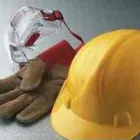 Immagine 1 azienda RIFLOR Vivaio in Bagheria PA