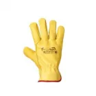 Immagine 3 azienda RIFLOR Vivaio in Bagheria PA