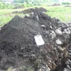 Immagine 2 azienda RIPA ENGINEERING Organizzazione per la protezione degli animali in Creazzo VI