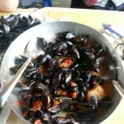 Immagine 8 azienda RISTORANTE ALBATROS Sport e tempo libero in Francavilla Al Mare CH
