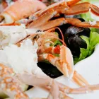 Immagine 7 azienda RISTORANTE BAGNO SAURO 286 Sport e tempo libero in Cervia RA