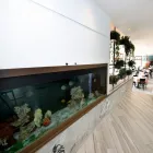 Immagine 3 azienda RISTORANTE CON PIZZERIA VOLO A VELA Ristorante in Varese