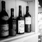 Immagine 1 azienda RISTORANTE GAMBERO ROZZO Ristorante italiano in Cattolica RN