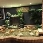 Immagine 1 azienda RISTORANTE GIAPPONESE HUTSI Ristorante in Ravenna