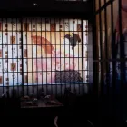 Immagine 5 azienda RISTORANTE GIAPPONESE SAKURA Ristorante in Bassano Del Grappa VI