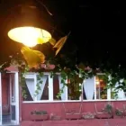 Immagine 7 azienda RISTORANTE IL FORO Sala per banchetti in San Giuliano Terme PI