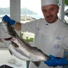 Immagine 6 azienda RISTORANTE IL MOLO Sport e tempo libero in Ancona
