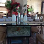 Immagine 1 azienda RISTORANTE IL PESCHERECCIO BEACH Ristorante in Pisa