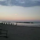 Immagine 7 azienda RISTORANTE LA BRASSERIE SUL MARE Ristorante in Montesilvano PE