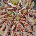 Immagine 1 azienda RISTORANTE LA PANOCCHIETTA Ristorante in Pescara