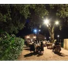 Immagine 1 azienda RISTORANTE LA VIOLA Ristorante in Fiumicino RM