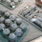 Immagine 1 azienda RISTORANTE LEONE Ristorante di pesce in Palermo