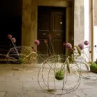 Immagine 1 azienda RISTORANTE MISTRAL RATATOUILLEART Tavola calda in Pisa