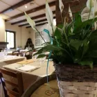 Immagine 3 azienda RISTORANTE - OSTERIA ANTICA FARMACIA DEI SANI Tavola calda in Castellanza VA