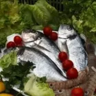 Immagine 2 azienda RISTORANTE PIZZERIA MIMÌ Ristorante in Bologna