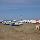 Immagine 2 azienda RIVA DEI TARQUINI Viaggi e turismo in Tarquinia VT