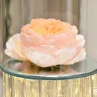 Immagine 1 azienda RIZZA LUIGI Shopping e acquisti in Ispica