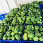 Immagine 3 azienda ROSA ANGELO E DENARO VINCENZO Shopping e acquisti in Ispica