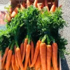 Immagine 6 azienda ROSA ANGELO E DENARO VINCENZO Shopping e acquisti in Ispica