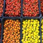 Immagine 7 azienda ROSA ANGELO E DENARO VINCENZO Shopping e acquisti in Ispica