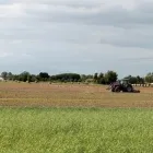 Immagine 4 azienda ROSAGIULIA AZIENDA AGRICOLA E MACELLERIA AZIENDALE Servizi agricoli in Latina