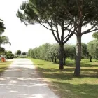 Immagine 5 azienda ROSAGIULIA AZIENDA AGRICOLA E MACELLERIA AZIENDALE Servizi agricoli in Latina