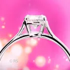 Immagine 2 azienda ROSARIO SCALIA PHOTO COMMERCE Servizi professionali in Catania