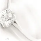 Immagine 9 azienda ROSARIO SCALIA PHOTO COMMERCE Servizi professionali in Catania