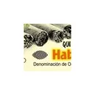 Immagine 1 azienda ROSE BAR DI NAPOLEONI ROBERTO Tabaccheria in Ciampino RM