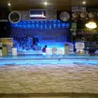 Immagine 5 azienda ROSE BAR DI NAPOLEONI ROBERTO Tabaccheria in Ciampino RM