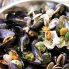 Immagine 7 azienda ROSTICCERIA PASTA DEL PIANO Gastronomia in Fabriano AN