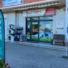 Immagine 5 azienda ROYAL PETS TOELETTA Shopping e acquisti in Ardea RM