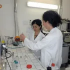 Immagine 1 azienda S.C.P. Servizi professionali in Catania