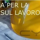 Immagine 1 azienda S.I.A. SRL Servizi professionali in Malalbergo BO