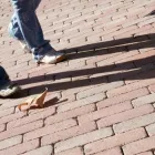 Immagine 1 azienda S.M. EDIL-PAV Shopping e acquisti in Campogalliano MO