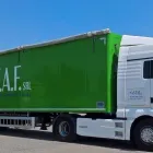 Immagine 1 azienda S.T.A.F. Servizi professionali in Ferrara