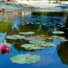 Immagine 2 azienda SA.ME.DA.R. Immobiliare e ristrutturazioni in Roma