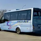Immagine 4 azienda SACA BUS Veicoli in Modena