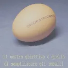Immagine 3 azienda SACCHI E PACCHI Shopping e acquisti in Solaro MI