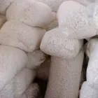Immagine 4 azienda SACCHI E PACCHI Shopping e acquisti in Solaro MI