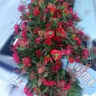 Immagine 4 azienda SACRO CUORE DI ELISA CHIARIGLIONE Shopping e acquisti in Torino