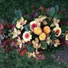 Immagine 8 azienda SACRO CUORE DI ELISA CHIARIGLIONE Shopping e acquisti in Torino